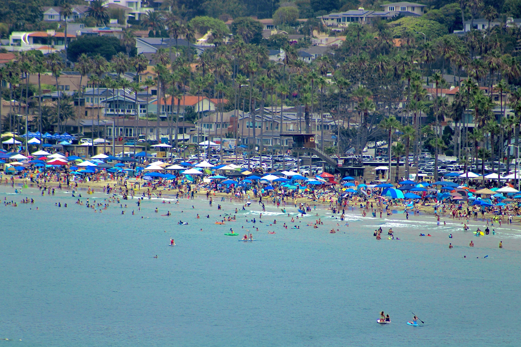 Aerial view of the busy La Jolla Shores beach with umbrellas in San Diego